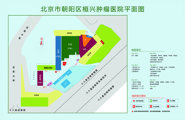 看用大鸡巴操小姑娘视频北京市朝阳区桓兴肿瘤医院平面图